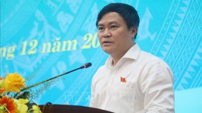 Tre ganger ble direktøren for landbruks- og miljødepartementet i Quang Ngai-provinsen kritisert og irettesatt.