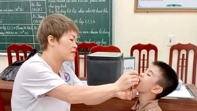 새로운 상황의 요구사항을 충족하는 인구 담당 공무원 팀을 구성합니다.