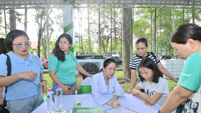ឧទ្យានថុងញ៉ាត (ហាណូយ) នៅថ្ងៃទី ២៨ ខែមិថុនា៖ ជាចំណុចជួបជុំសម្រាប់ការពិគ្រោះយោបល់សុខភាពសម្រាប់ប្រជាជនហាណូយ។