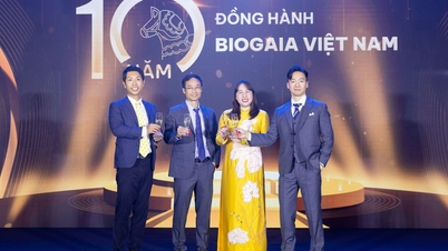 BioGaia Probiotics: Ponad 10 lat wsparcia dla rodzin wietnamskich.