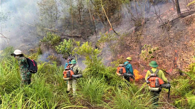 Wilayah Nghe An telah mengeluarkan amaran risiko kebakaran hutan daripada berbahaya hingga sangat berbahaya untuk 122 komun dan wad.