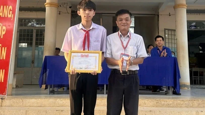 타이닌의 한 남학생이 10학년 입학시험에서 세 과목 모두 만점(10점)을 받았지만, 문학 점수는 의외로 낮았다.