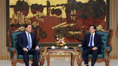 Vietnam mendorong perusahaan-perusahaan AS untuk memperluas investasi di bidang teknologi tinggi.