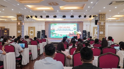 TẬP HUẤN KIẾN THỨC, KỸ NĂNG PHÒNG, CHỐNG TAI NẠN, THƯƠNG TÍCH TRẺ EM NĂM 2026