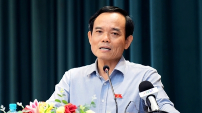 La ville d'Hô Chi Minh-Ville mettra en place un Conseil de recherche et de développement avant le 1er juillet.