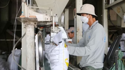 Sektor swasta menjadi kekuatan pendorong pertumbuhan hijau di An Giang.