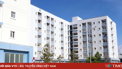Kota Ho Chi Minh mempercepat pembangunan perumahan sosial.