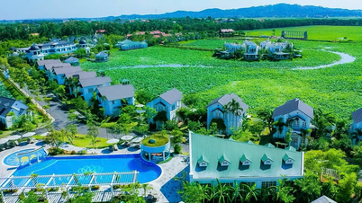 Thang Long Investment Group (TIG), multata e condannata a restituire oltre 1,6 miliardi di VND di tasse, prevede di offrire più di 243 milioni di azioni, nonostante i suoi utili del primo trimestre siano crollati del 79%.