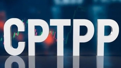 Ini merupakan kali pertama CPTPP melakukan ini dengan melibatkan Indonesia, Filipina dan UAE.