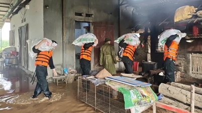 Kraftig regn har forårsaget oversvømmelser og skader i mange områder af Cao Bang.