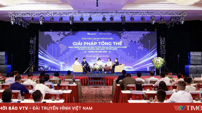 Een duurzame toekomst voor Phu Quoc vormgeven met behulp van de kansen die APEC 2027 biedt.