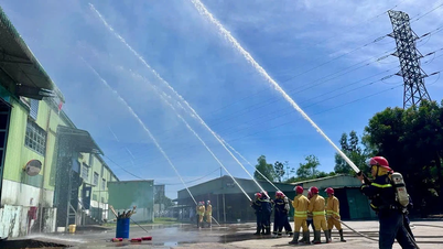 Simulação de combate a incêndio e resgate na Olam Vietnam Co., Ltd.