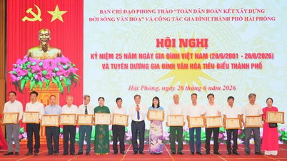 Hai Phong ehrt 114 beispielhafte Kulturfamilien.