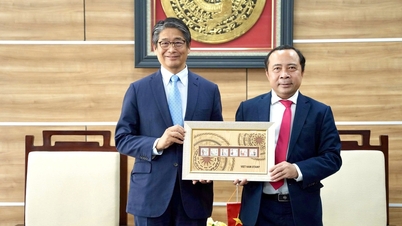 Vietnam és Japán bővíti együttműködését a kutatás és a fiatal tehetségek cseréje terén.