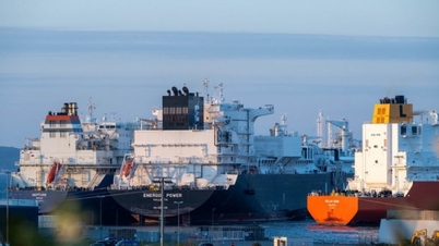 Estados Unidos se pronuncia en contra de las nuevas regulaciones de la UE, afirmando que el gas "fluirá hacia otro lugar".