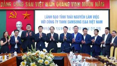 Samsung E&A Vietnam foreslår at undersøge investeringer i projekter for ren vandforsyning i Thai Nguyen.