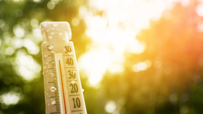 Las olas de calor sin precedentes que azotan Europa han colapsado los hospitales y se han cobrado cientos de vidas.