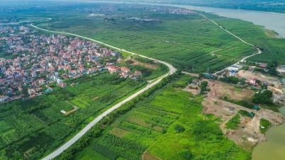 Kinh Bac používá akcie k zajištění dluhu pro investora Trumpova projektu v hodnotě několika miliard dolarů.