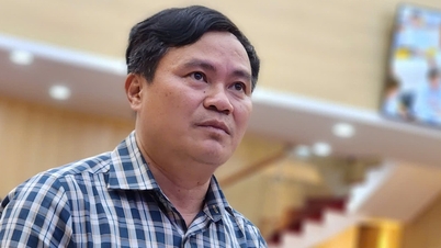 Quang Ngai Tarım ve Çevre Dairesi Müdürü, bir hafta içinde üç yazılı uyarı ve ikaz aldı.