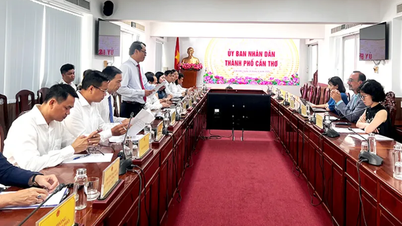 ទីក្រុង Can Tho ពង្រឹងកិច្ចសហប្រតិបត្តិការជាមួយធនាគារពិភពលោក ដើម្បីអភិវឌ្ឍធនធានមនុស្សបច្ចេកវិទ្យាខ្ពស់។