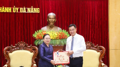 Da Nang stärkt die umfassende Zusammenarbeit mit den Regionen im südlichen Zentrallaos.