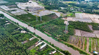 Morgennyheder, 25. juni: Hvor ligger Ho Chi Minh Citys syv højteknologiske landbrugszoner?