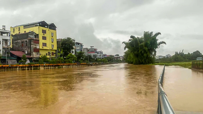 Lũ lụt chia cắt nhiều khu vực ở Cao Bằng, hàng chục héc-ta hoa màu mất trắng