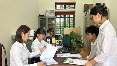 Los institutos recogerán las solicitudes de los alumnos que hayan obtenido las calificaciones necesarias para acceder al décimo grado en el curso escolar 2026-2027.