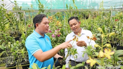 Ho Chi Minh City udvikler intelligente, grønne og klimaforandringsadaptive landdistrikter.