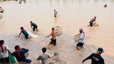 El singular festival de pesca del pueblo de Giao Ha.