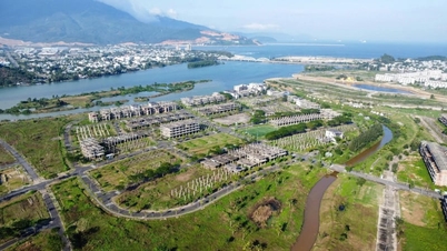 Da Nang annonce les conclusions de l'inspection relative au projet de la société par actions Trung Nam.