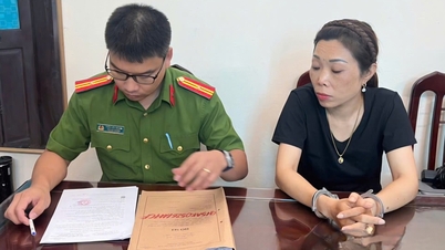 Ninh Binh: Nainen pidätettiin ja vangittiin yli 559 miljoonan Vietnamin dongin petoksesta "sovittelumenetelmän" avulla.
