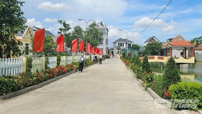 Thanh Hoa صوبہ دیہات اور رہائشی علاقوں کی تنظیم نو مکمل کرتا ہے۔