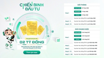 Peringkat 'Investment Warrior' minggu ke-10 mengungkapkan beberapa kandidat kuat.