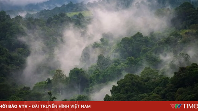 A Papua Nova Guiné enfrenta o risco de escassez de alimentos devido ao El Niño.