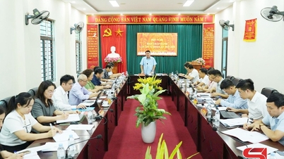 Komite Partai dari Badan-Badan Partai Provinsi memberikan pendapatnya tentang pekerjaan pembangunan Partai.