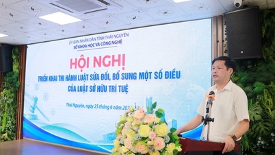 Hội nghị triển khai thi hành Luật sửa đổi, bổ sung một số điều của Luật Sở hữu trí tuệ trên địa bàn tỉnh Thái Nguyên