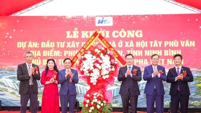Ninh Bình đồng loạt khởi công các dự án nhà ở xã hội và nhà ở cho thuê