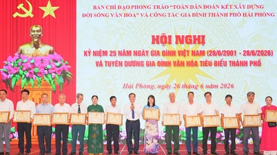 Hải Phòng tuyên dương 114 gia đình văn hoá tiêu biểu nhân Ngày Gia đình Việt Nam