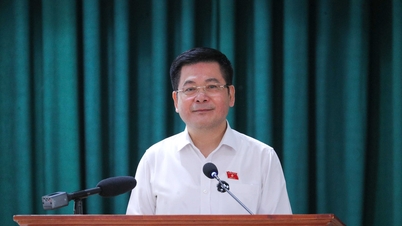قومی اسمبلی کے ڈپٹی اسپیکر Nguyen Hong Dien نے Bac Thai Ninh کمیون میں سیاسی نظام کے ایک سال کے آپریشن کے بعد کاموں کو نافذ کرنے کے لیے کانفرنس میں شرکت کی۔