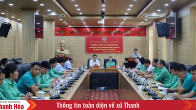 Koordinere implementeringen af ​​programmer mellem Hanoi City Farmers' Association og Thanh Hoa Provincial Farmers' Association.