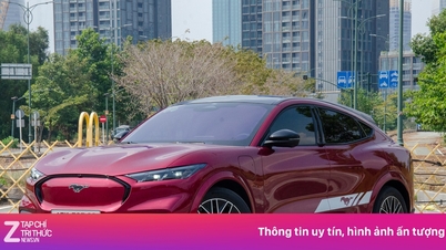 Những mẫu xe vừa bật tăng doanh số, đâu sẽ bền lâu?