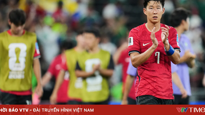 Topp 8 tredjeplasslag i FIFA World Cup 2026™: Bosnia og Ecuador er garantert plass, Skottland og Sør-Korea holder pusten.