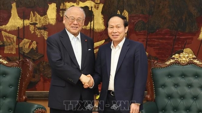 Ystävällisten ja yhteistyöhön perustuvien suhteiden edistäminen Vietnamin ja Japanin välillä.