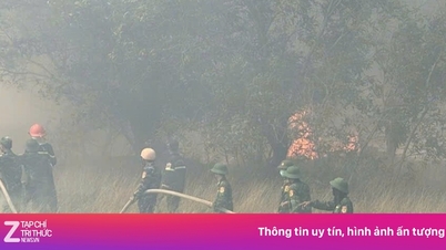 Incendii forestiere în Quang Tri: Sute de oameni lucrează neobosit pentru a stinge flăcările.