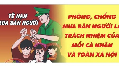 Punire severamente le reti criminali che sfruttano l'alta tecnologia per commettere frodi e tratta di esseri umani.