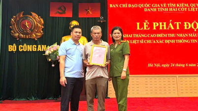 Heartwarming stories from the journey of DNA testing to locate the graves of fallen soldiers.