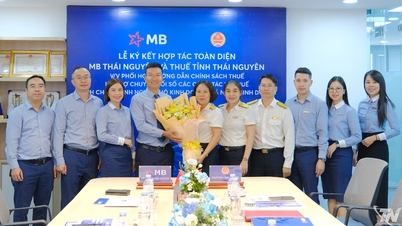 MB Thai Nguyen اور صوبائی ٹیکس ڈیپارٹمنٹ نے ایک جامع تعاون کے معاہدے پر دستخط کیے۔