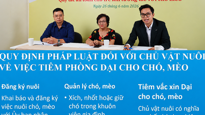 ការចាប់ផ្តើមយុទ្ធនាការទំនាក់ទំនងឌីជីថលដែលមានគោលបំណងលុបបំបាត់ជំងឺឆ្កែឆ្កួតនៅក្នុងប្រទេសវៀតណាម។