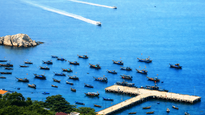 Da Nang mengetatkan pengurusan kawasan teras Rizab Biosfera Dunia Cu Lao Cham.